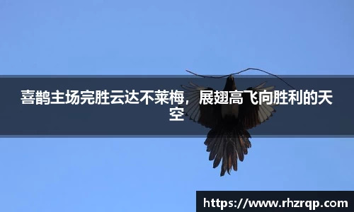 喜鹊主场完胜云达不莱梅，展翅高飞向胜利的天空