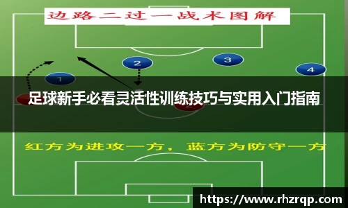龙珠体育直播