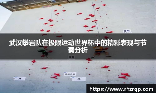 龙珠体育直播