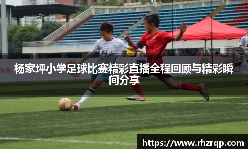 龙珠体育直播