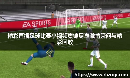龙珠足球直播