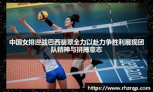 龙珠体育